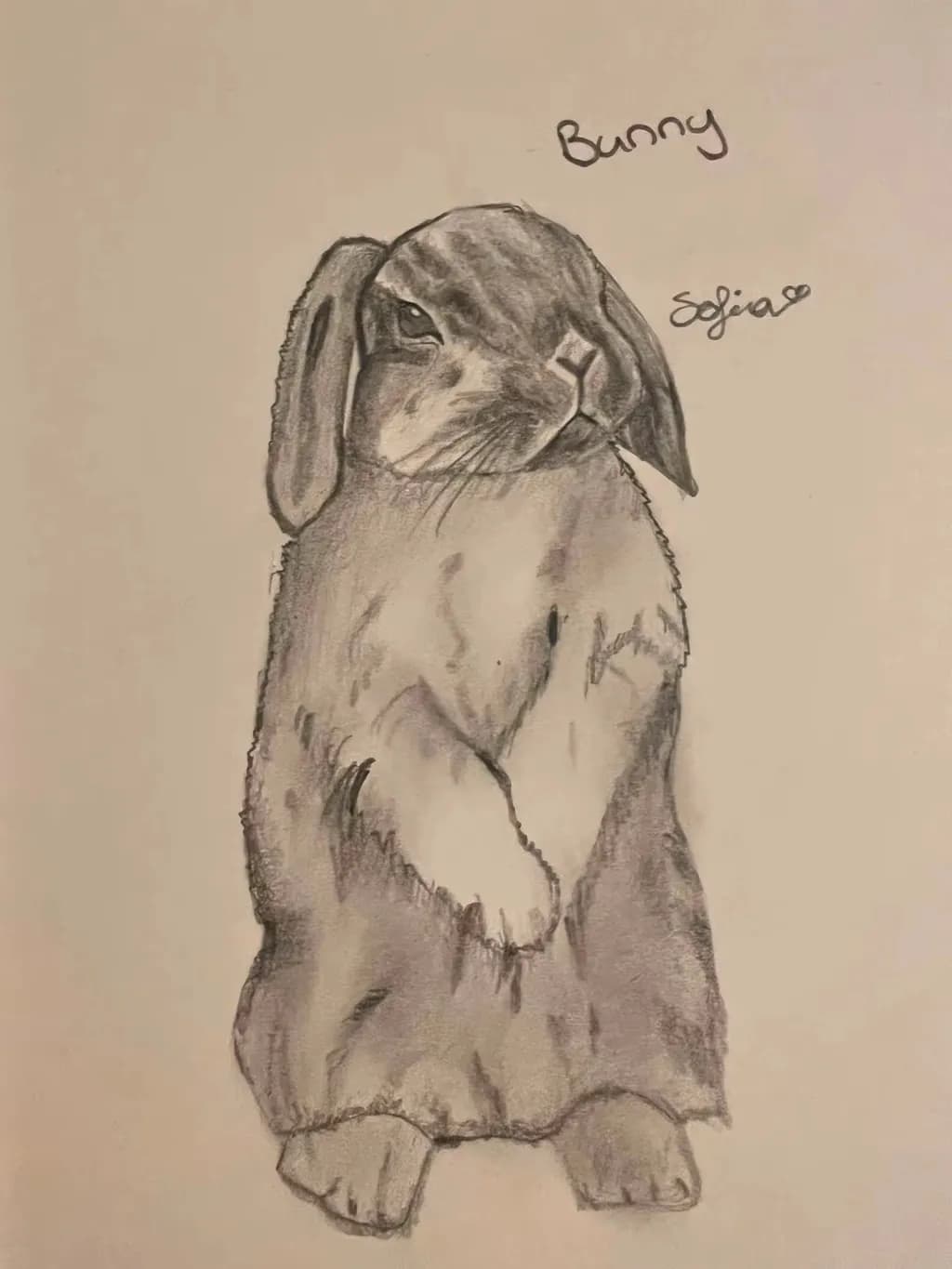 Gentle Bunny