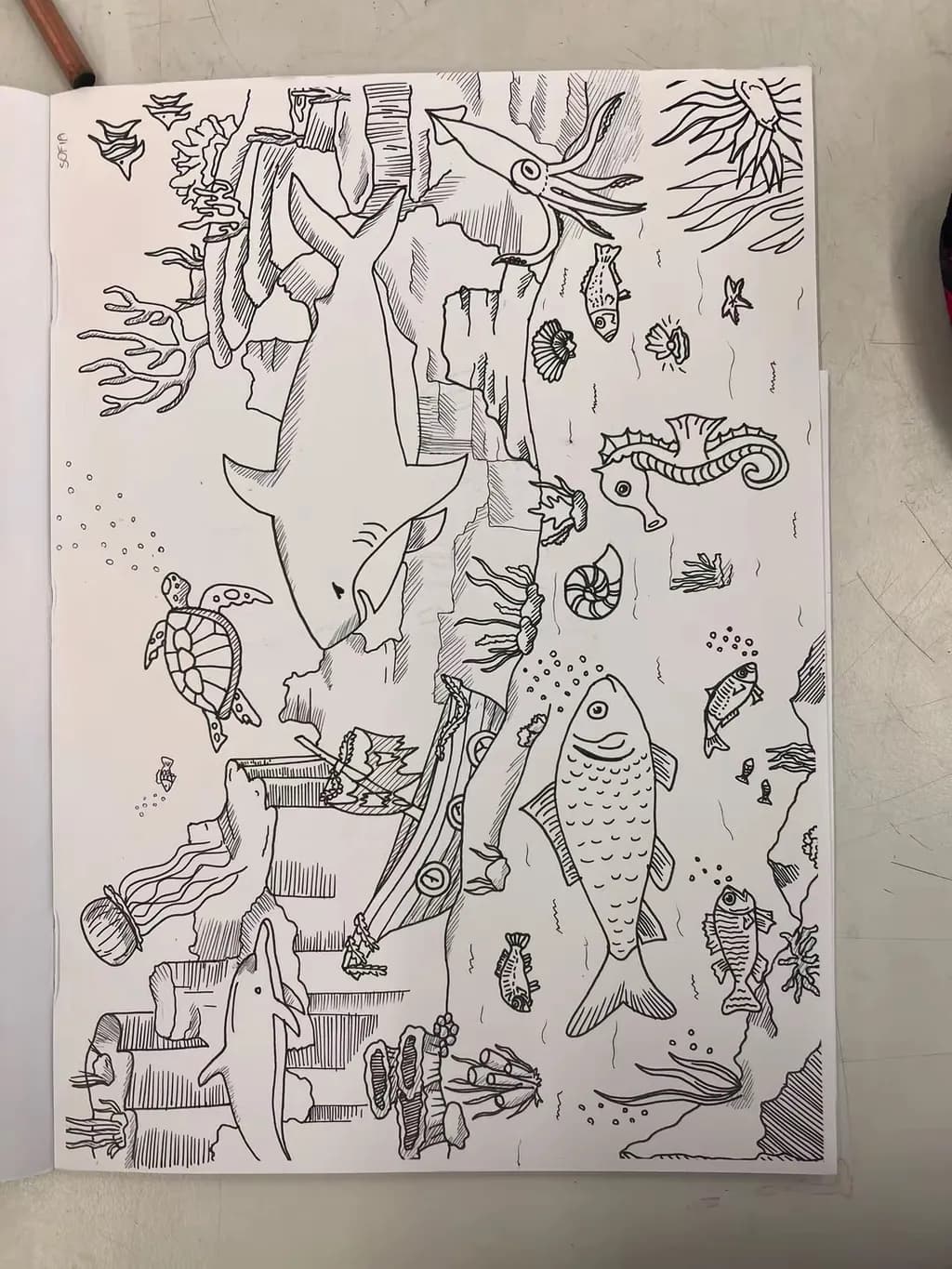 Ocean Life Scene