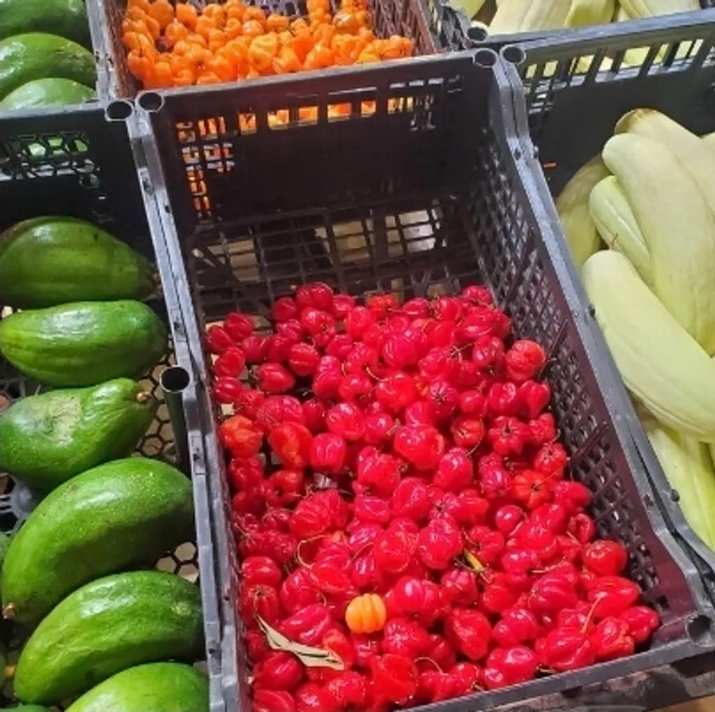 Fresh Market Produce