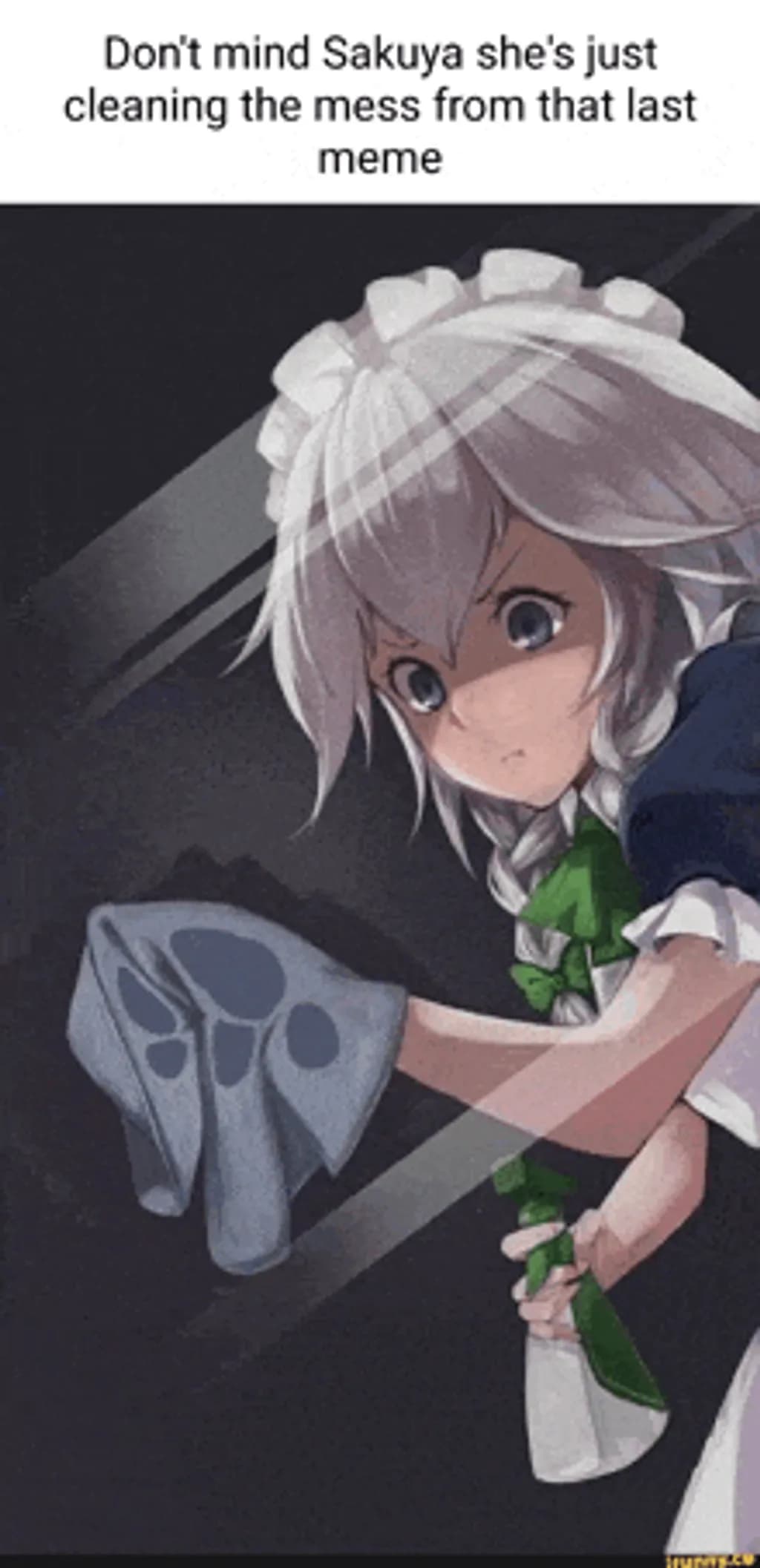 Sakuya Cleaning