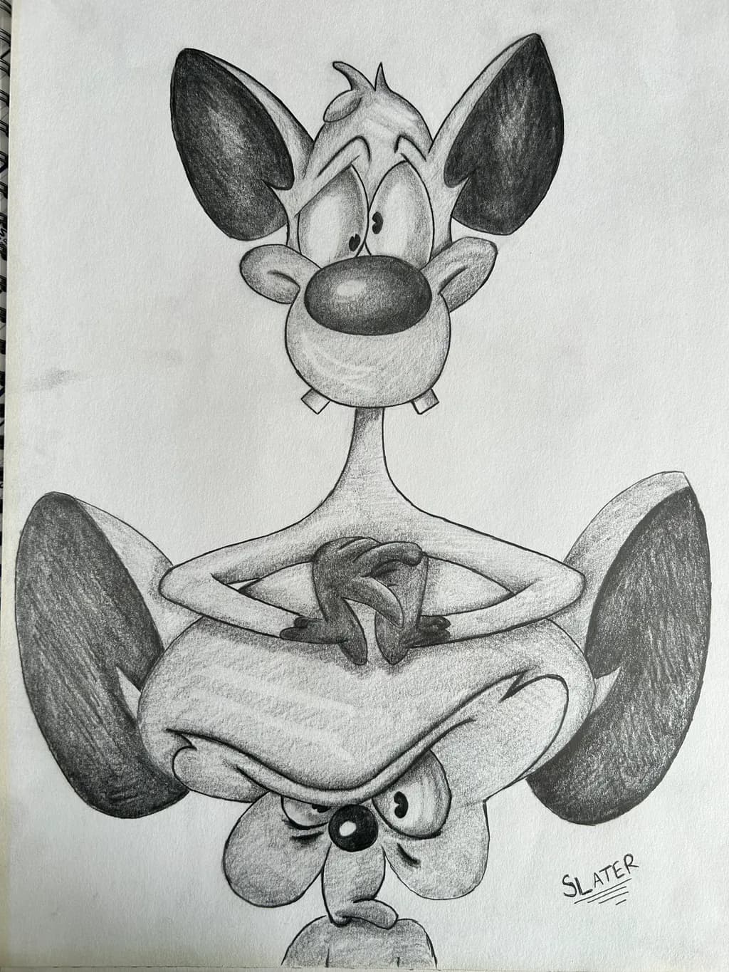 Cartoon Duo Contrast
