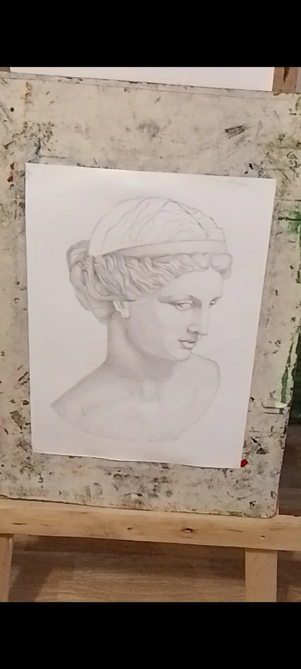 Classical Bust Study