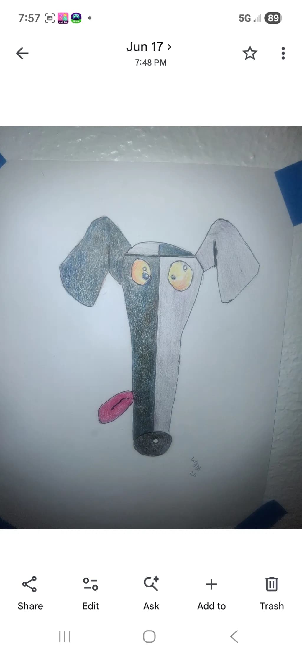 Goofy Gray Dog