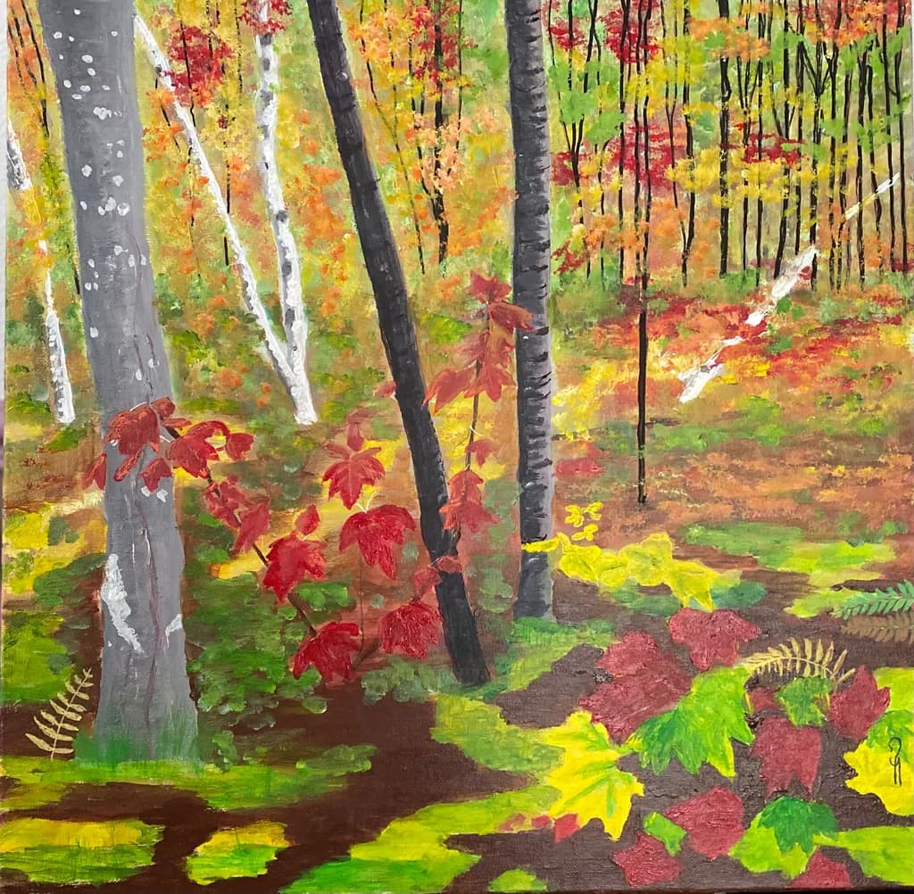 Candadian  Forest Walk