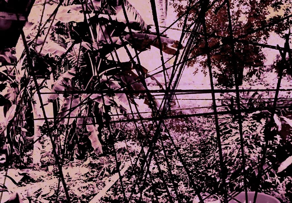 Canvas Jungle Scene
