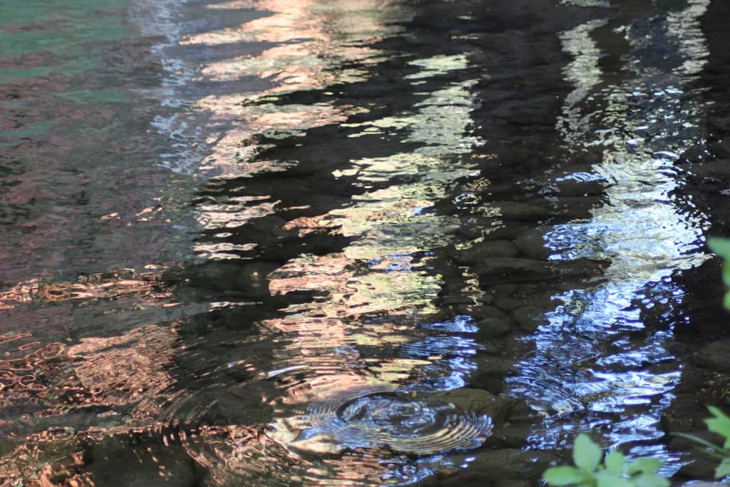 Water Reflections