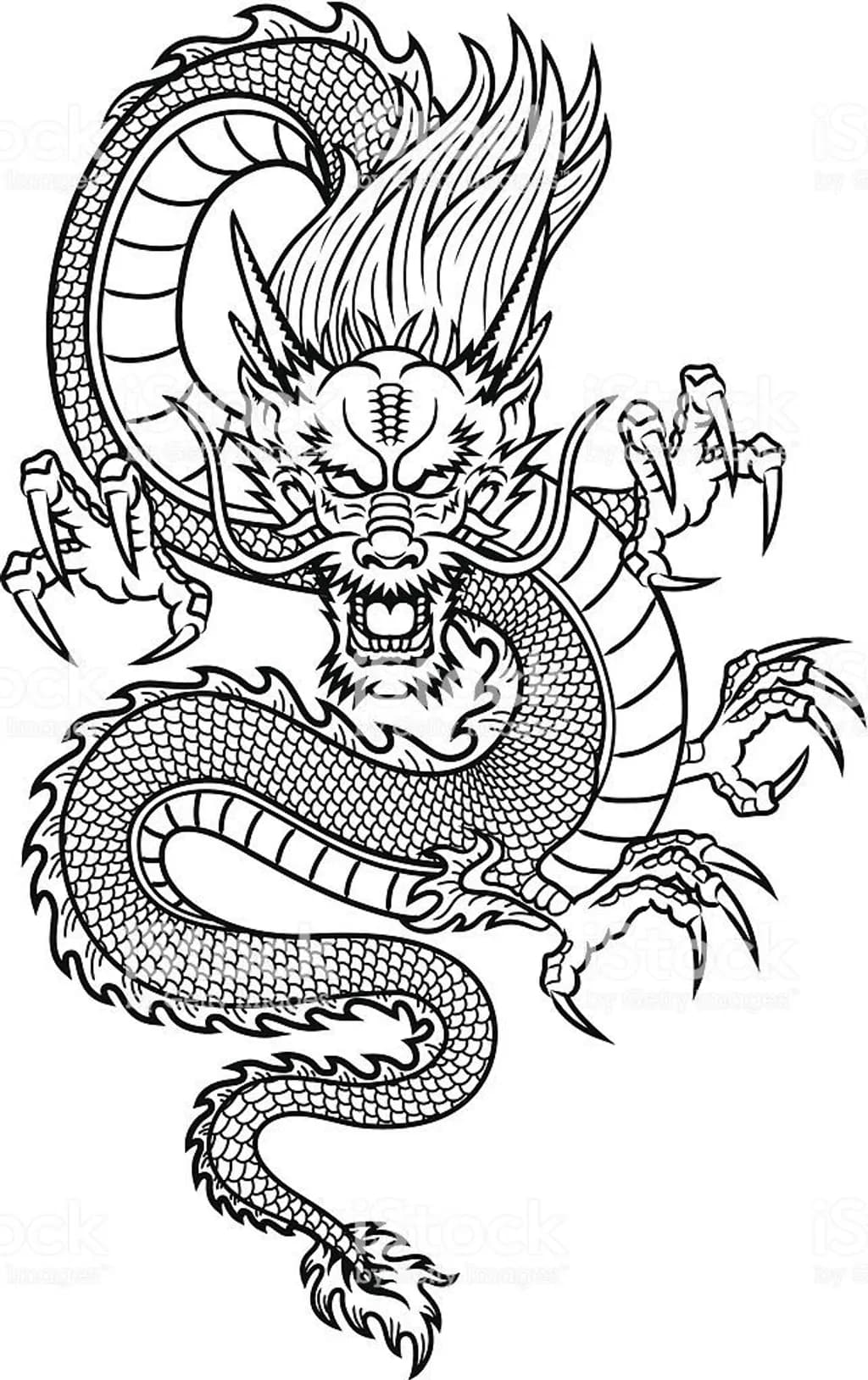Fierce Dragon Tattoo