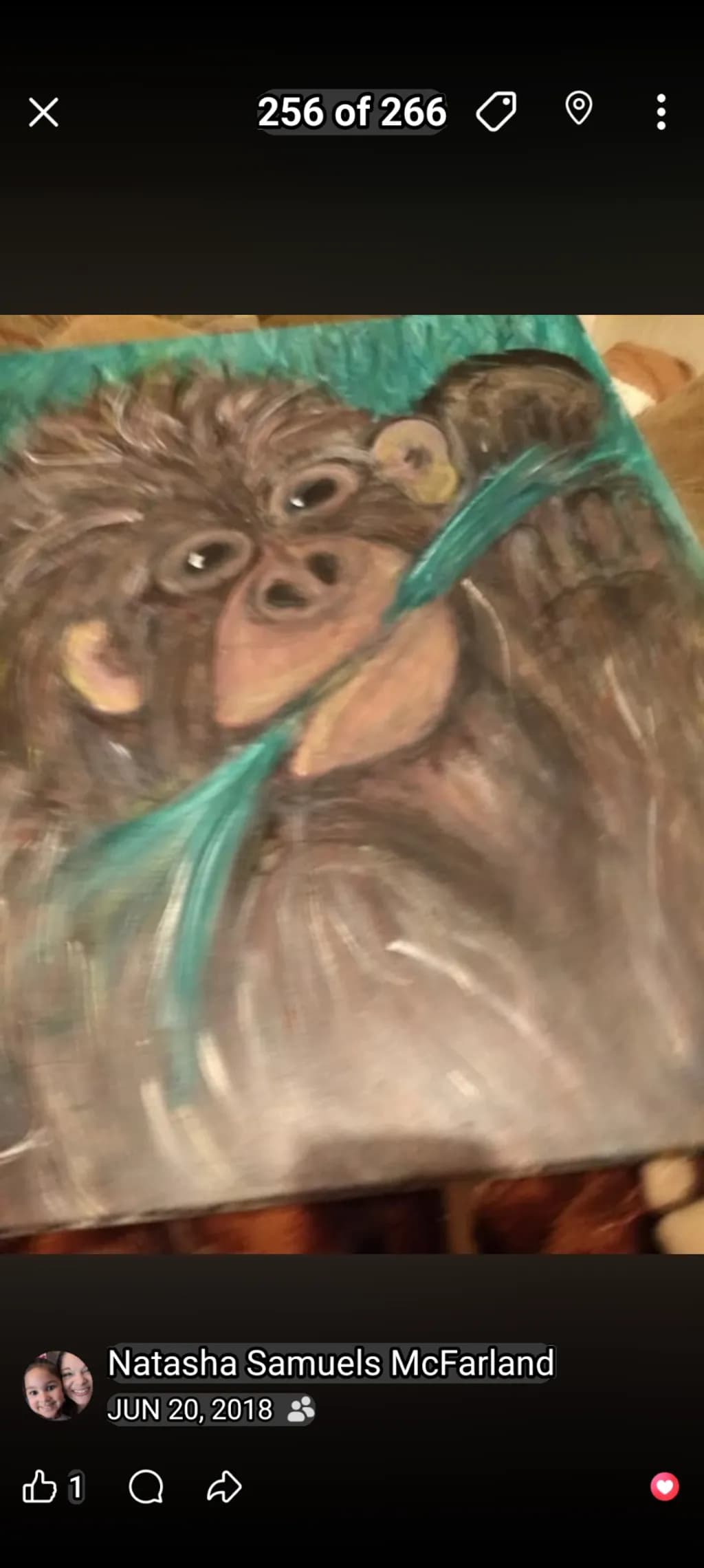 Monkey with Feather
