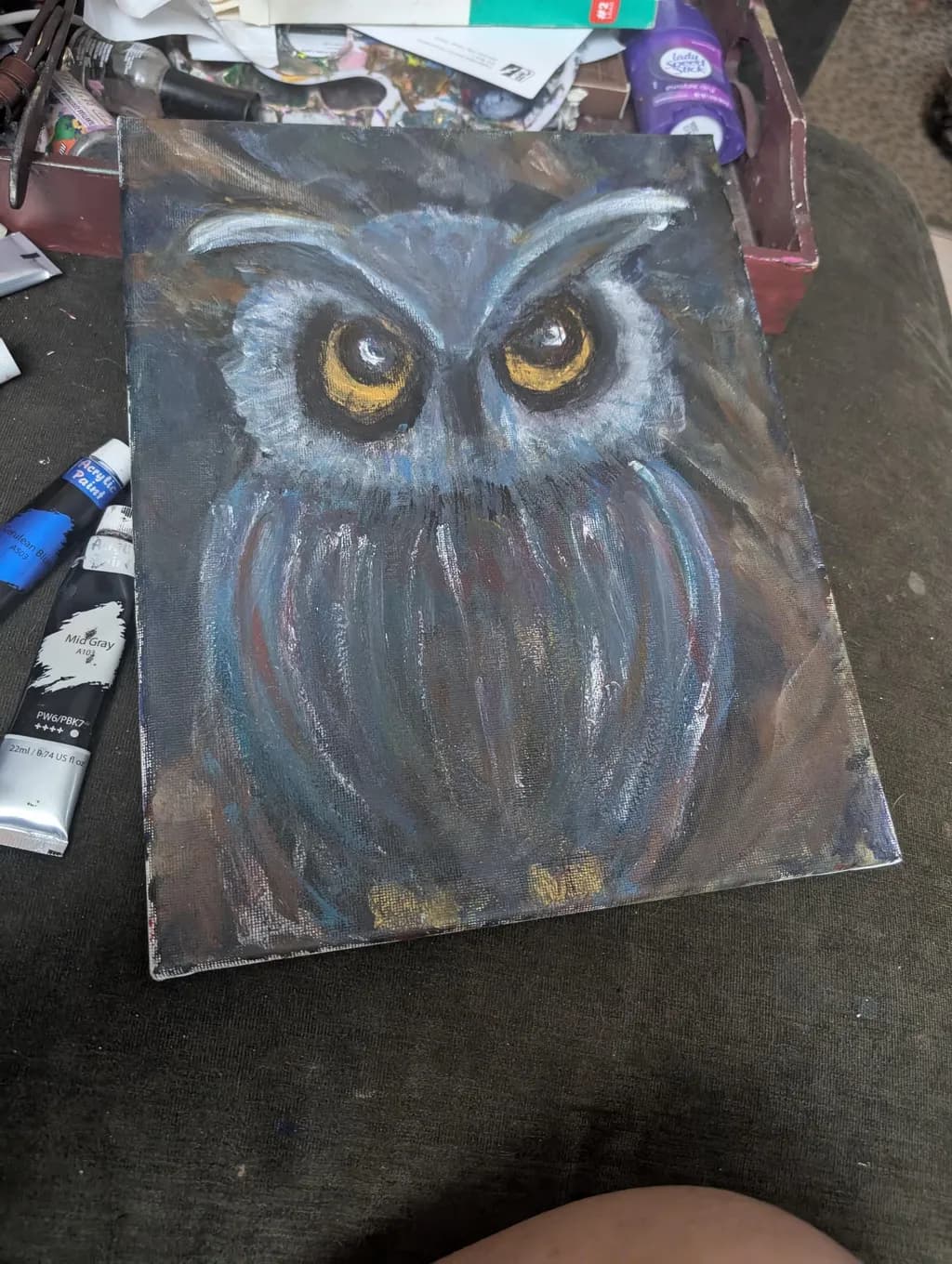 Owl Portrait