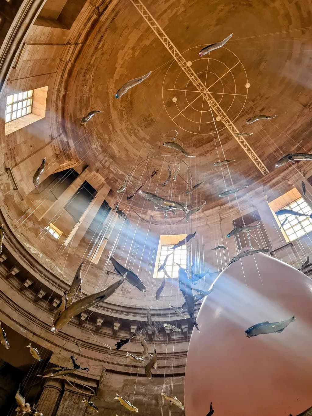 Fish Sculpture Dome