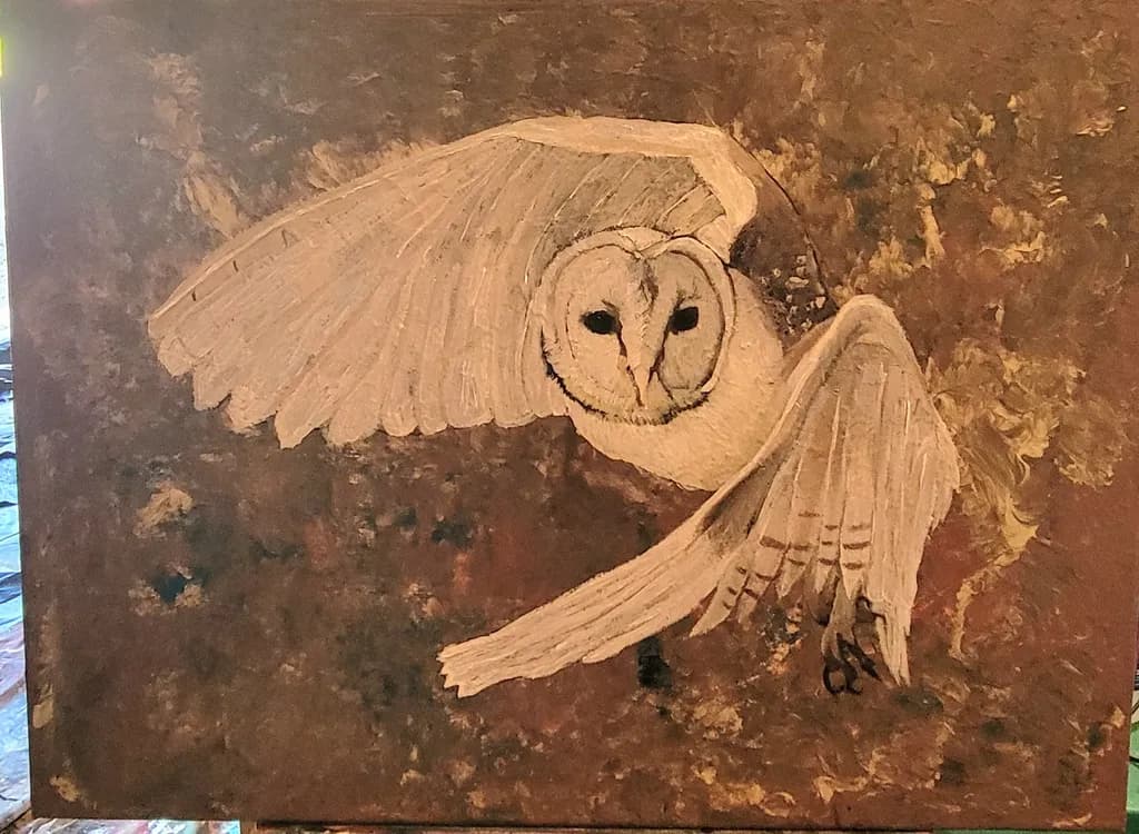 Barn Owl in Flight