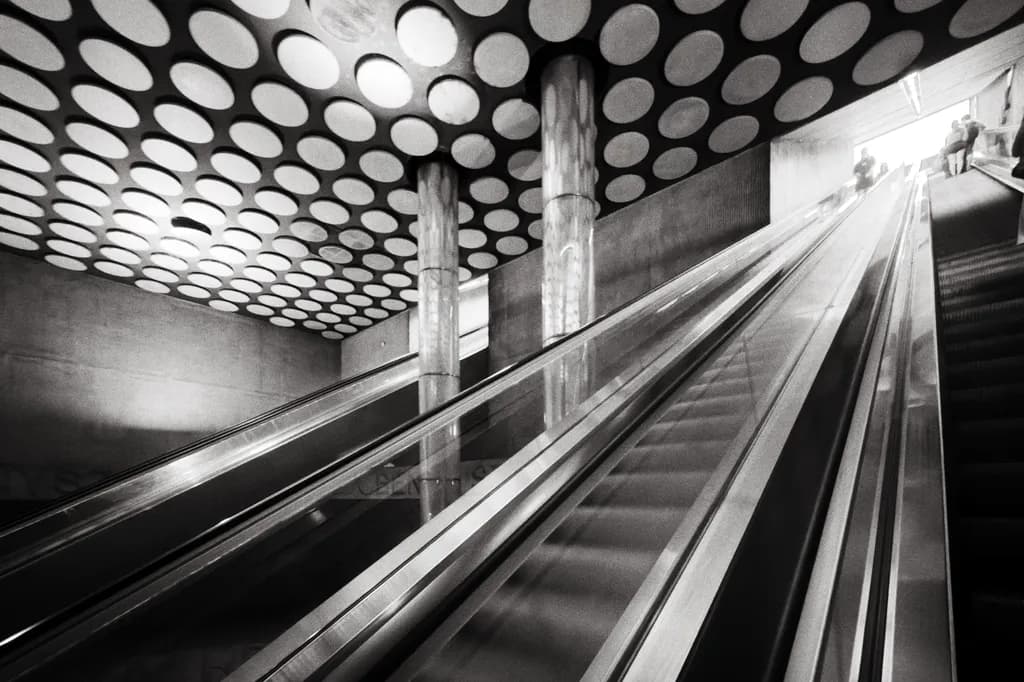 Escalator Ascent