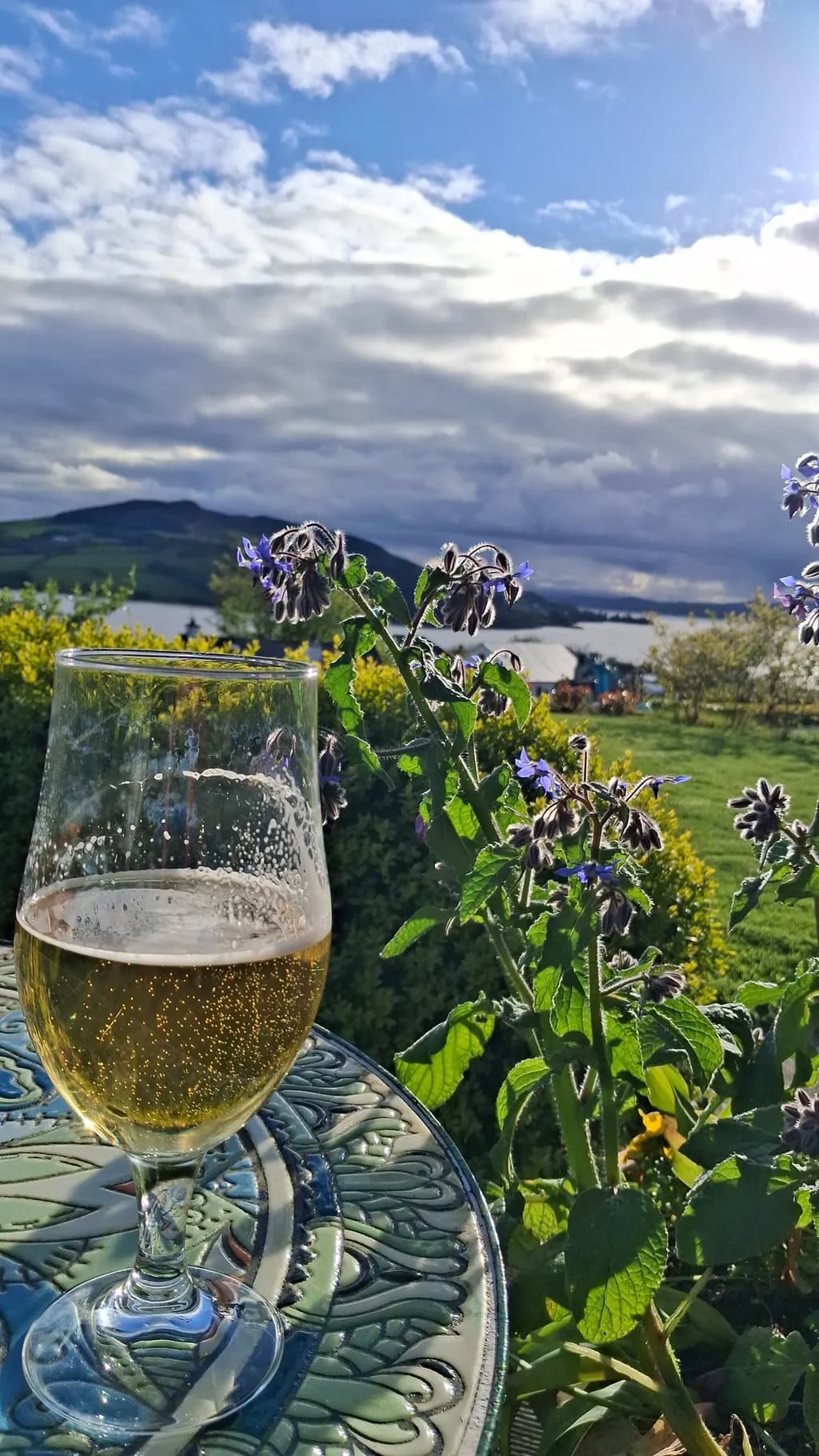 Mountain View with Borage and Beer