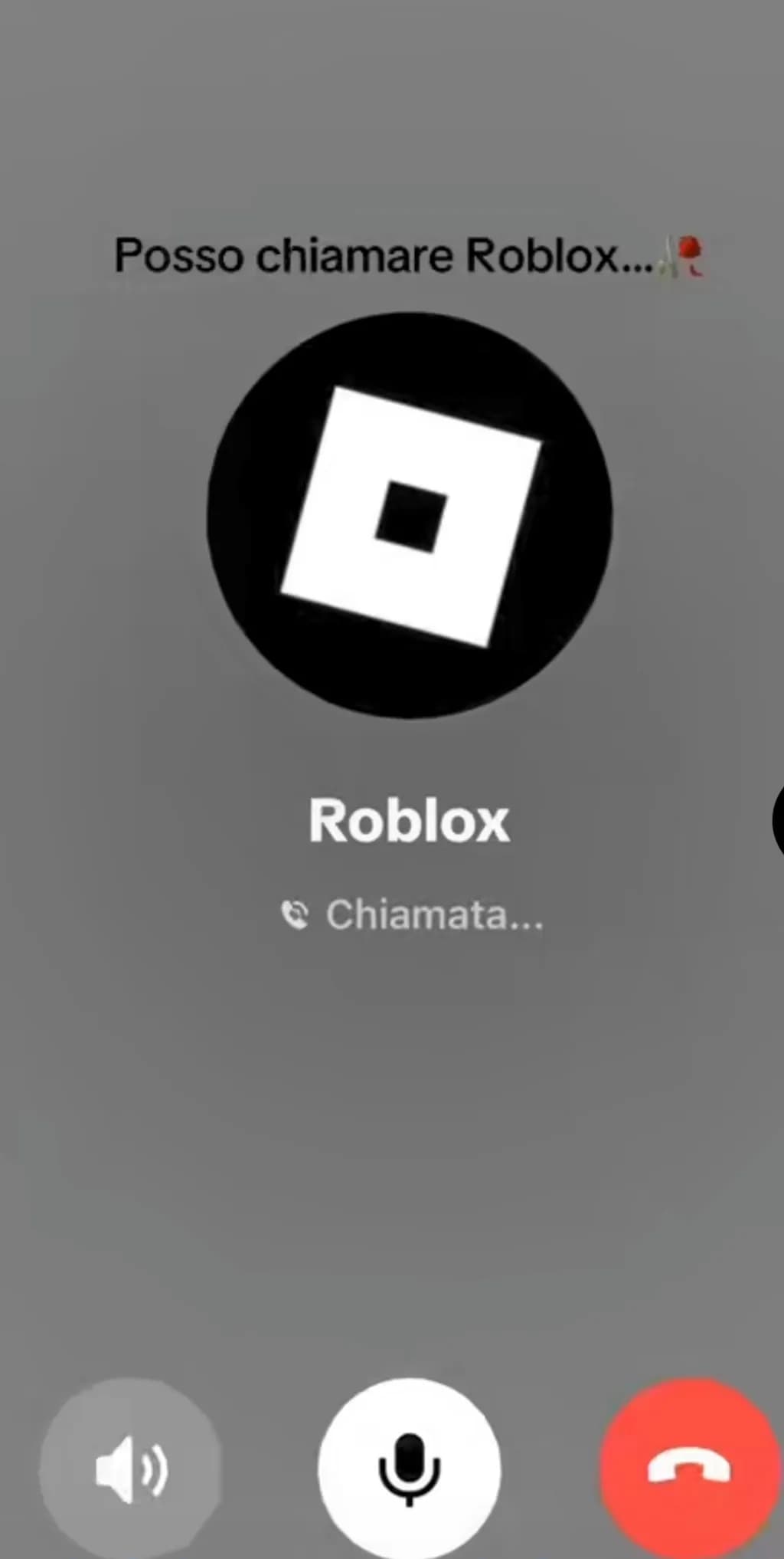 Roblox Call Screen
