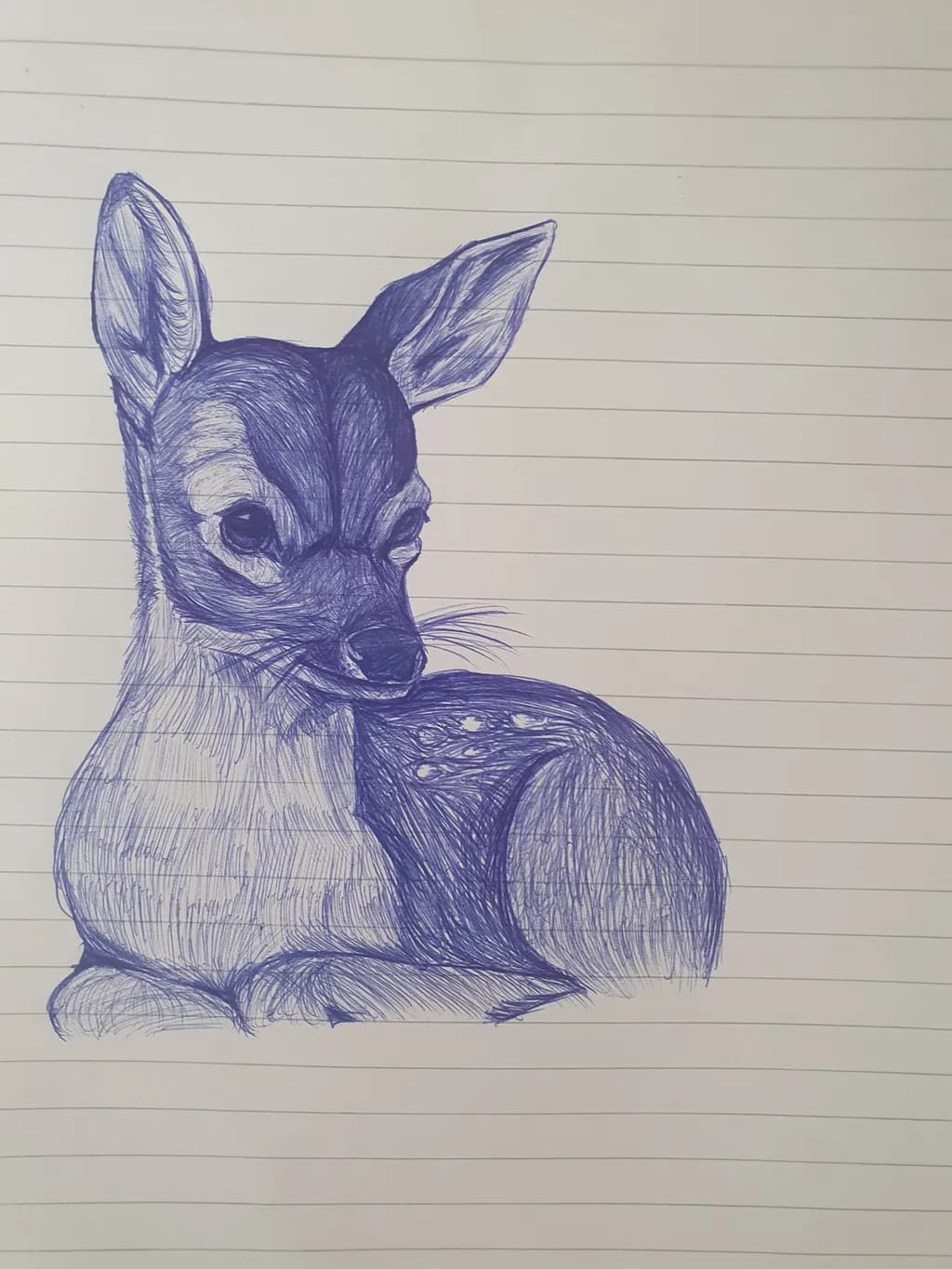 Resting Fawn Sketch