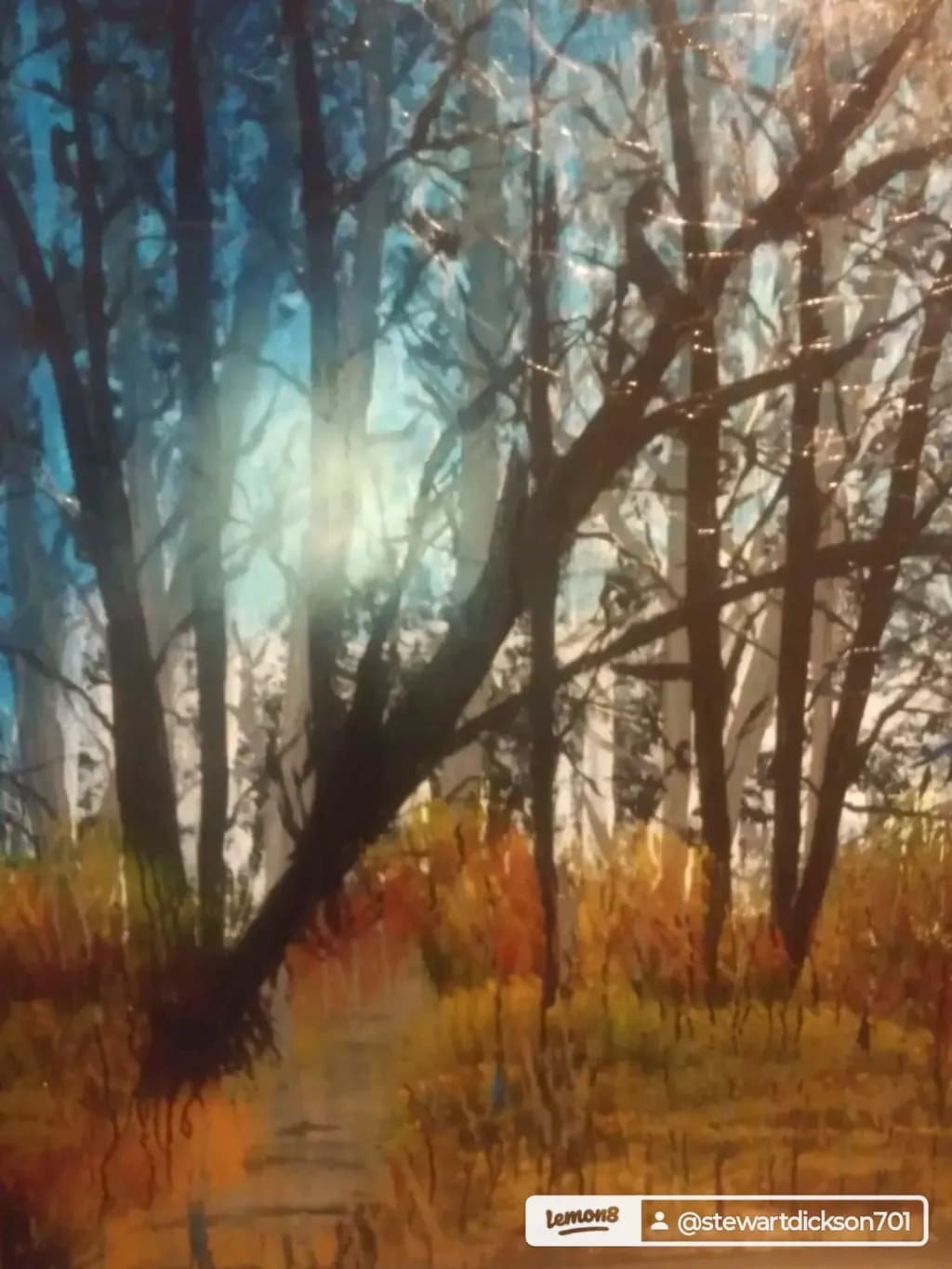 Forest Inbound Path