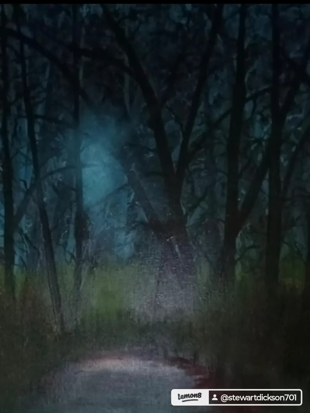 Moonlit Forest Path