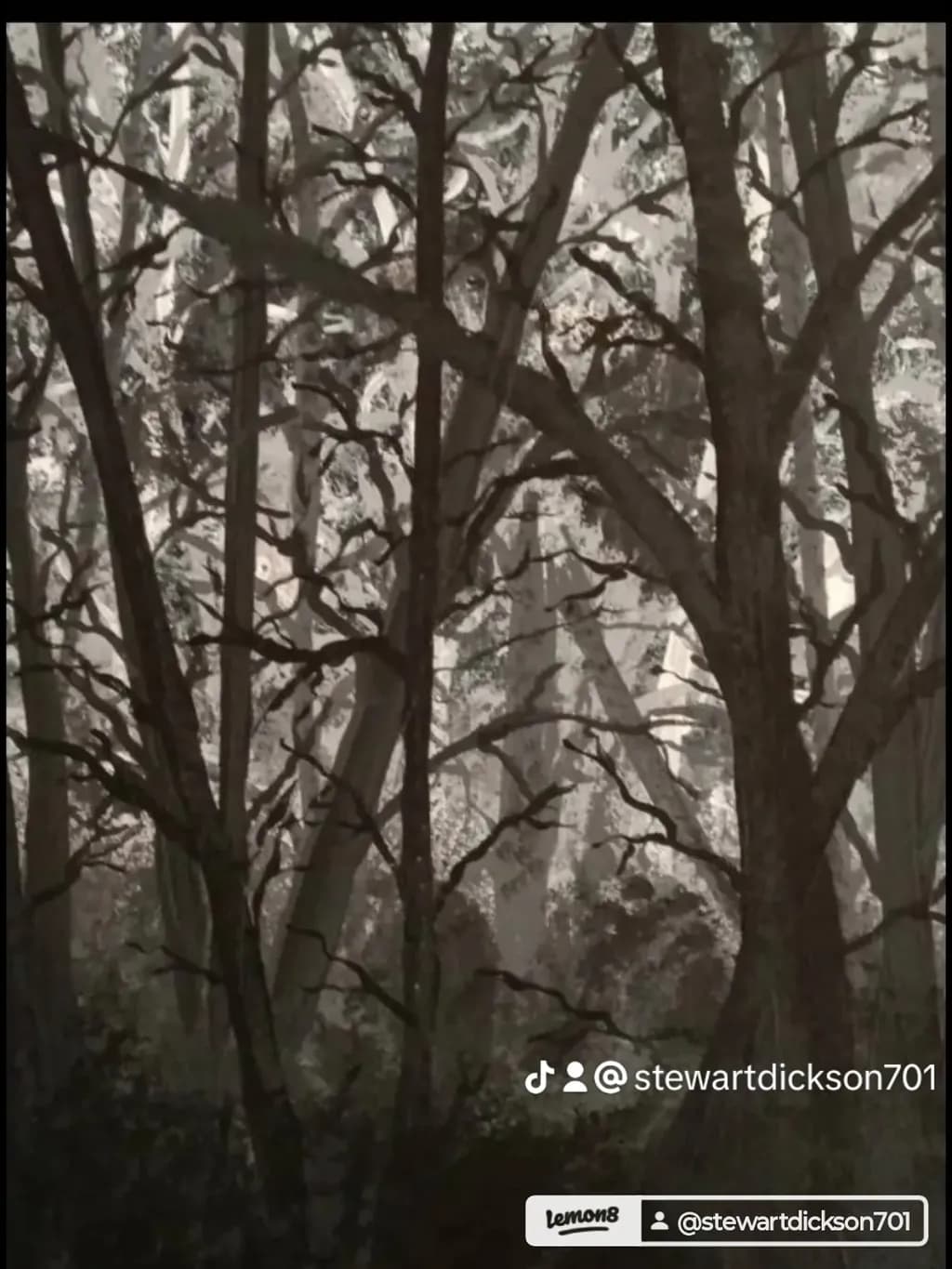 Tangled Forest