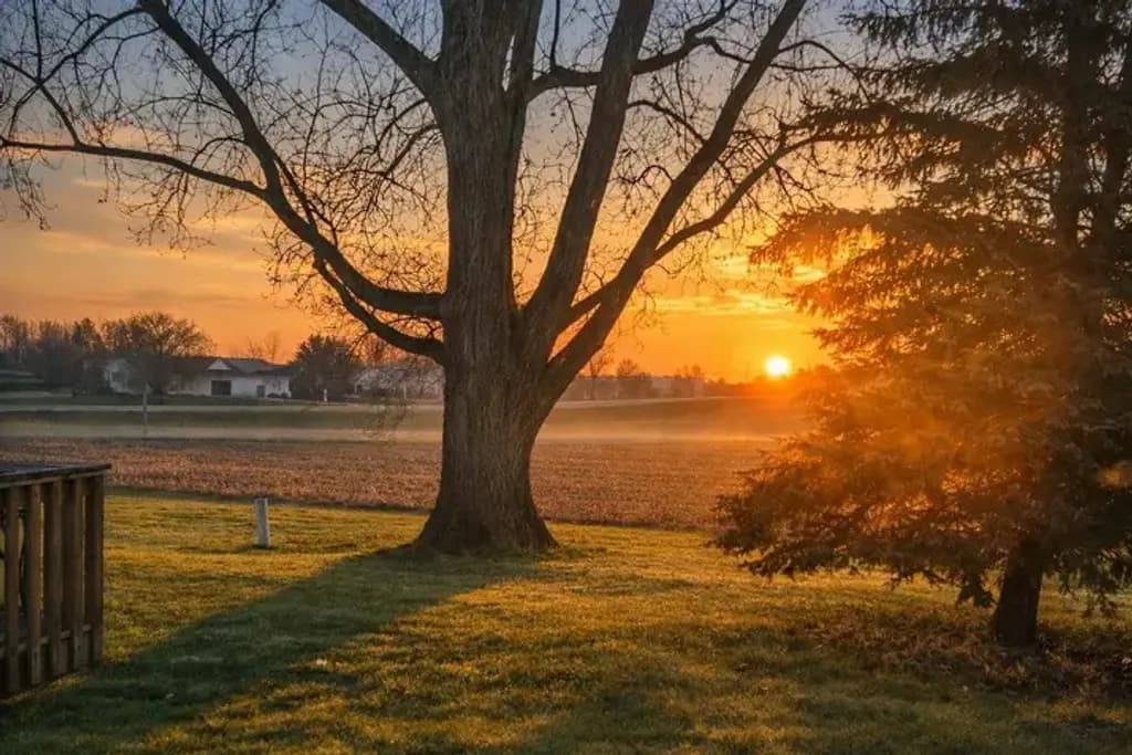 Rural Sunrise Glow