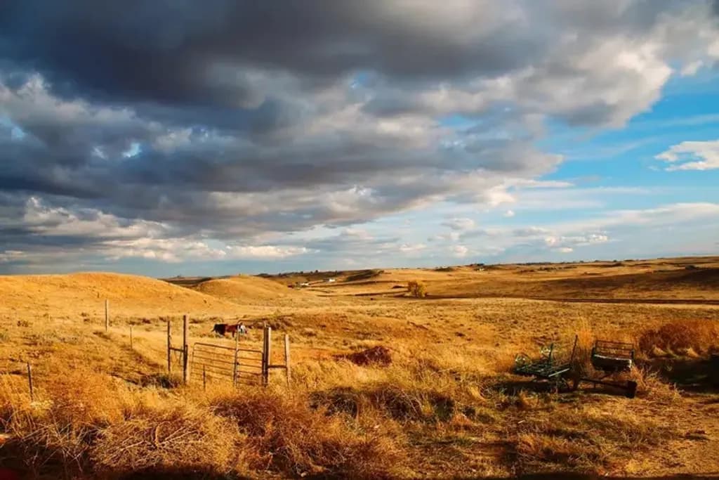 Golden Prairie