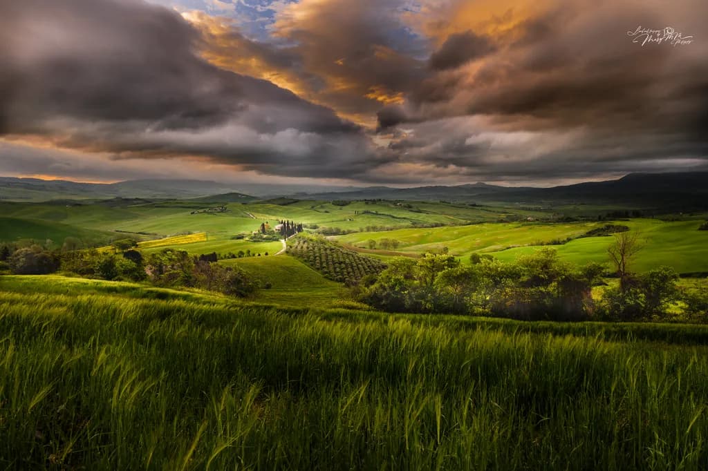 Stormlit Green Hills