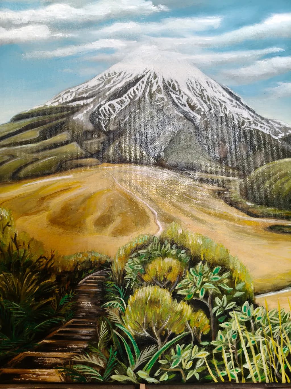 Mountain Path Vista