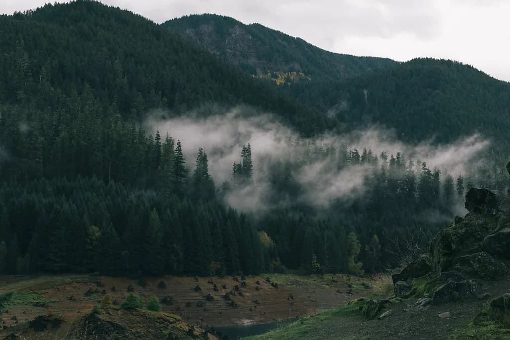 Cloud in the Valley