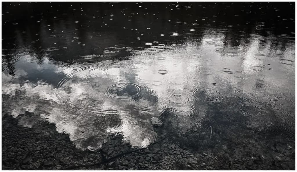First Rain