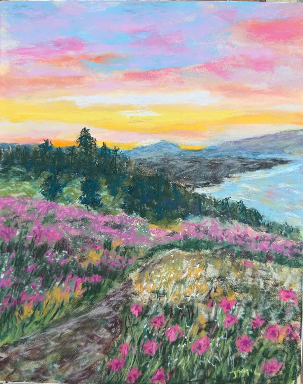 Mountain Meadow Sunset