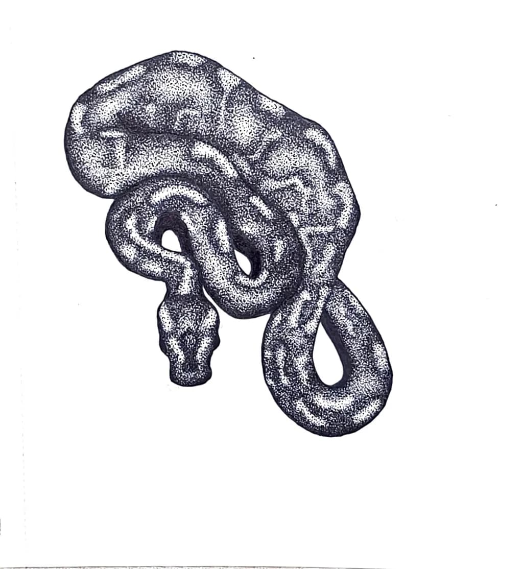 Coiled Snake