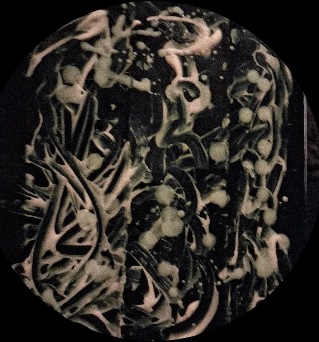 Obsidian Bloom