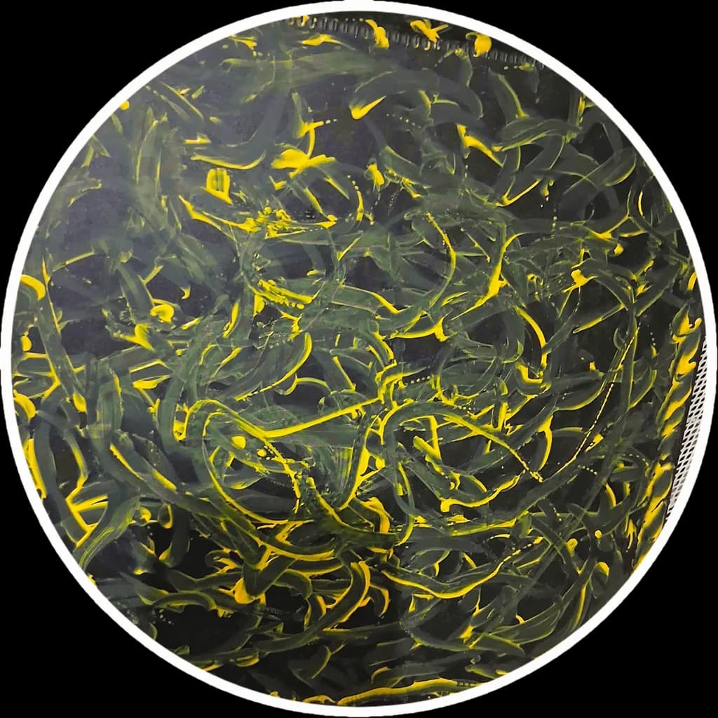 Yellow Currents