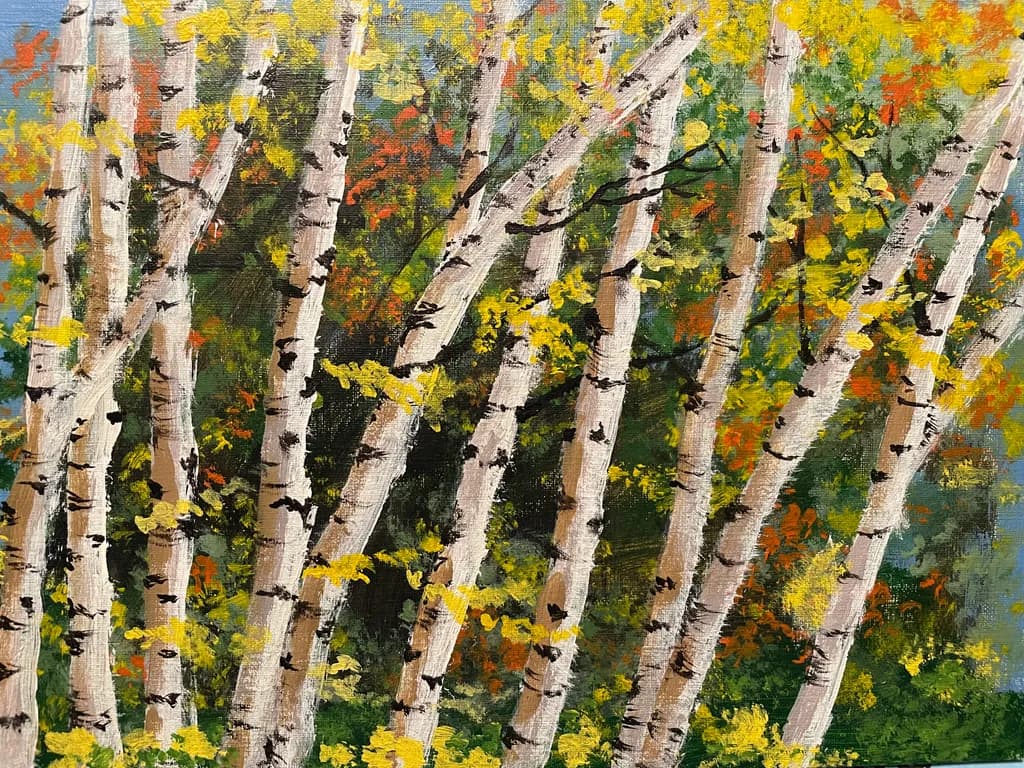 Birch Trees in Autumn