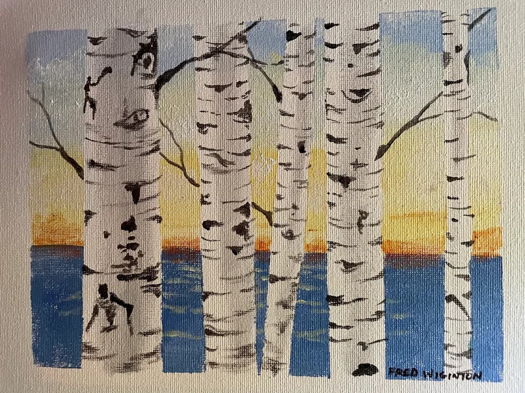 Birch Trees at Sunset