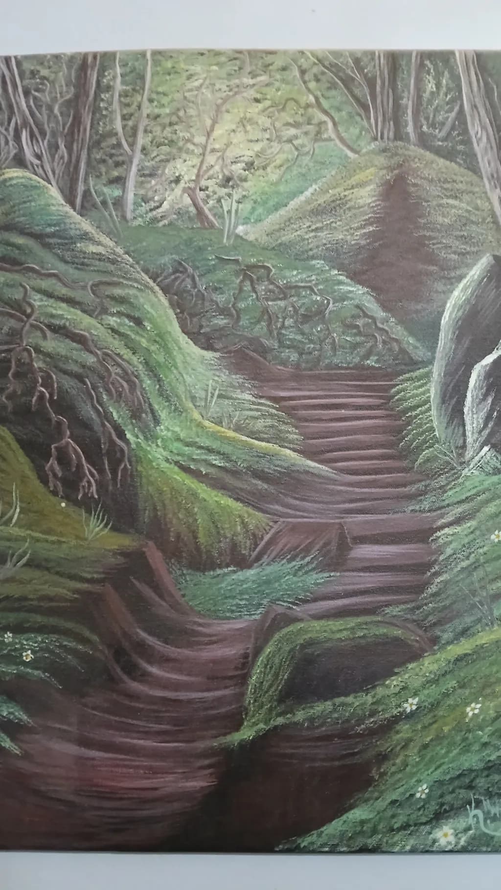 Forest Steps Path