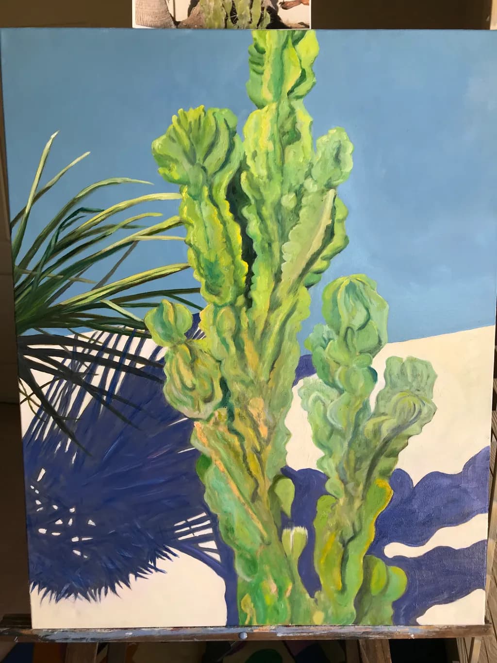 Crested Cactus