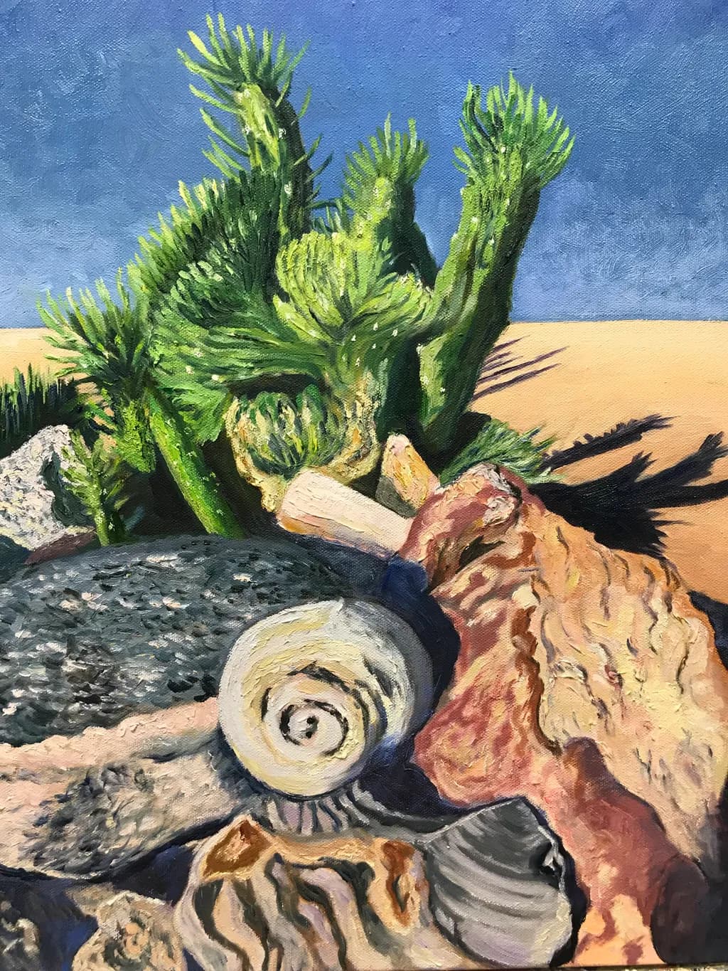 Seashells and Cactus Composition