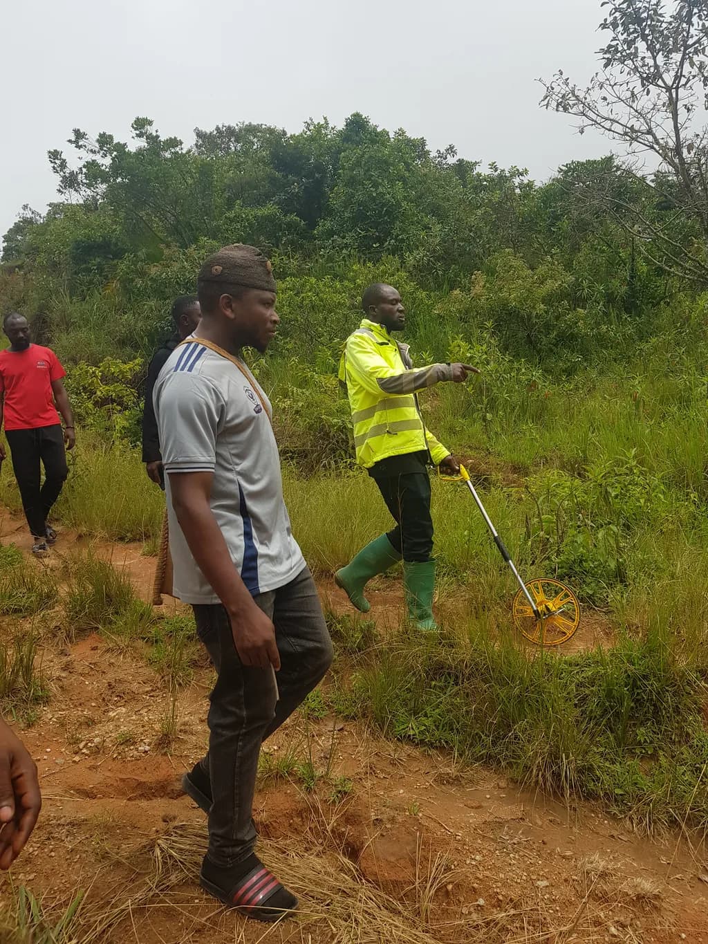 Path Survey in Grassland