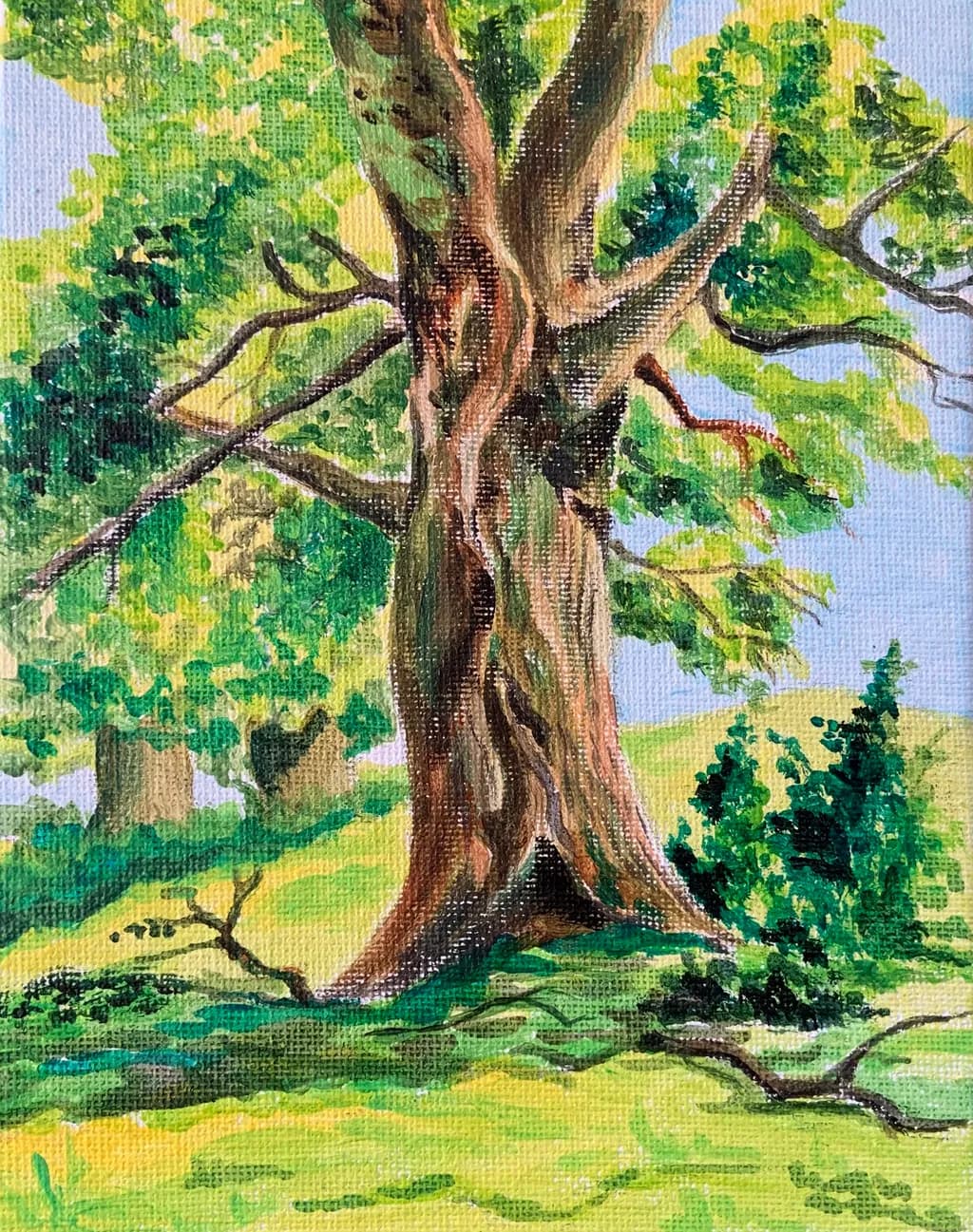 Majestic Tree