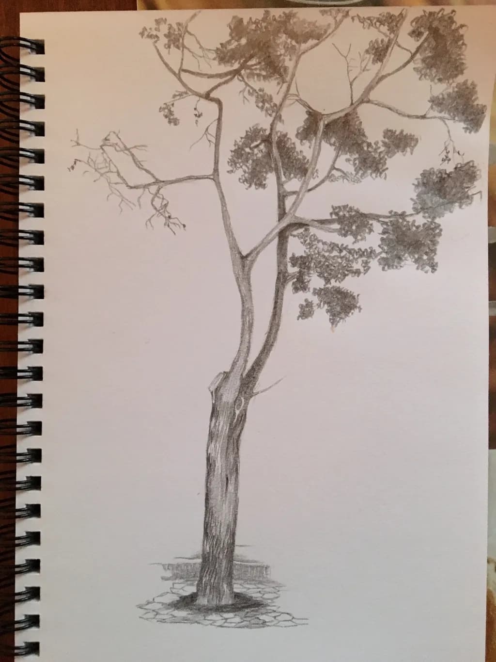 Lone Tree