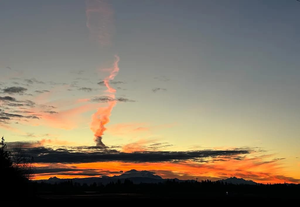 The Fire Plume