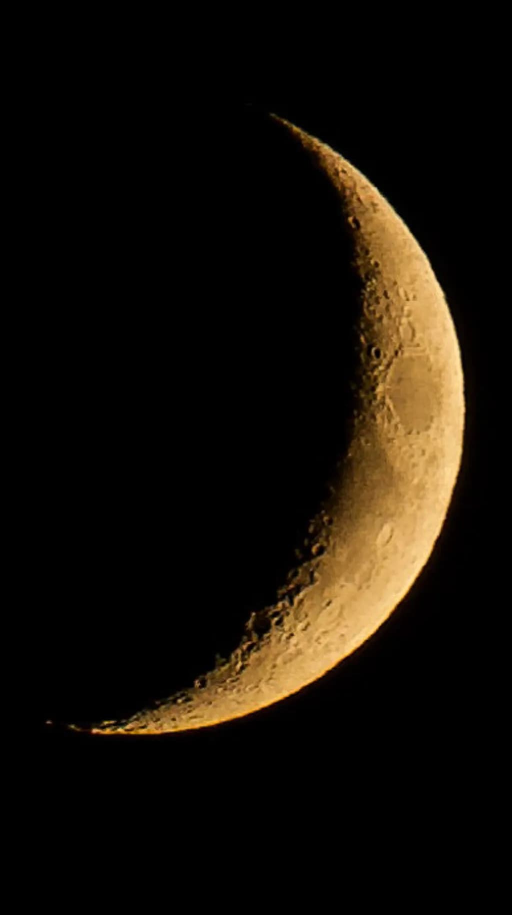 Golden Crescent Moon