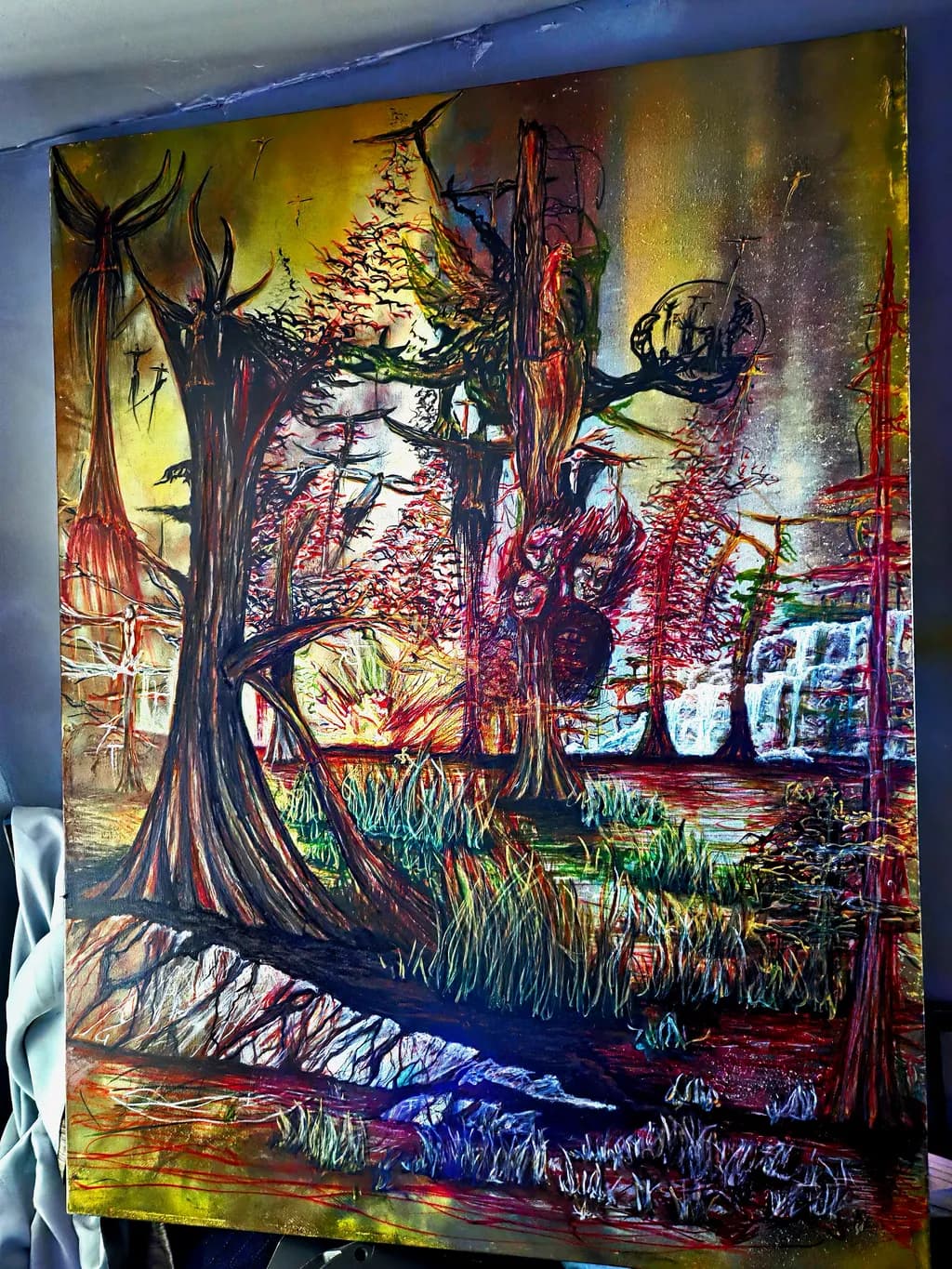 Shadowed Forest Falls