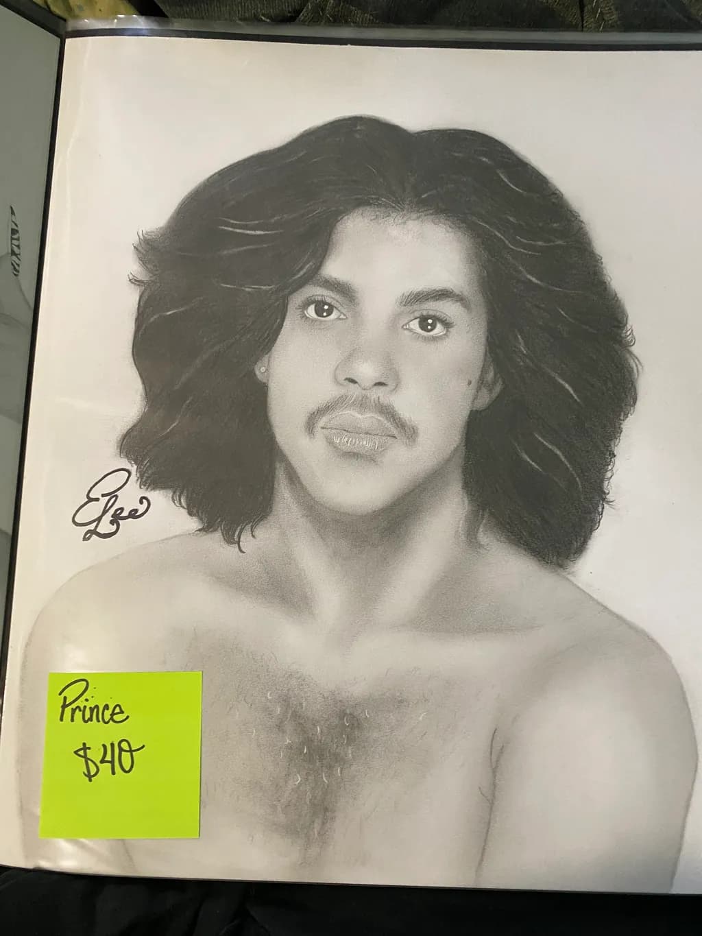 Prince Portrait