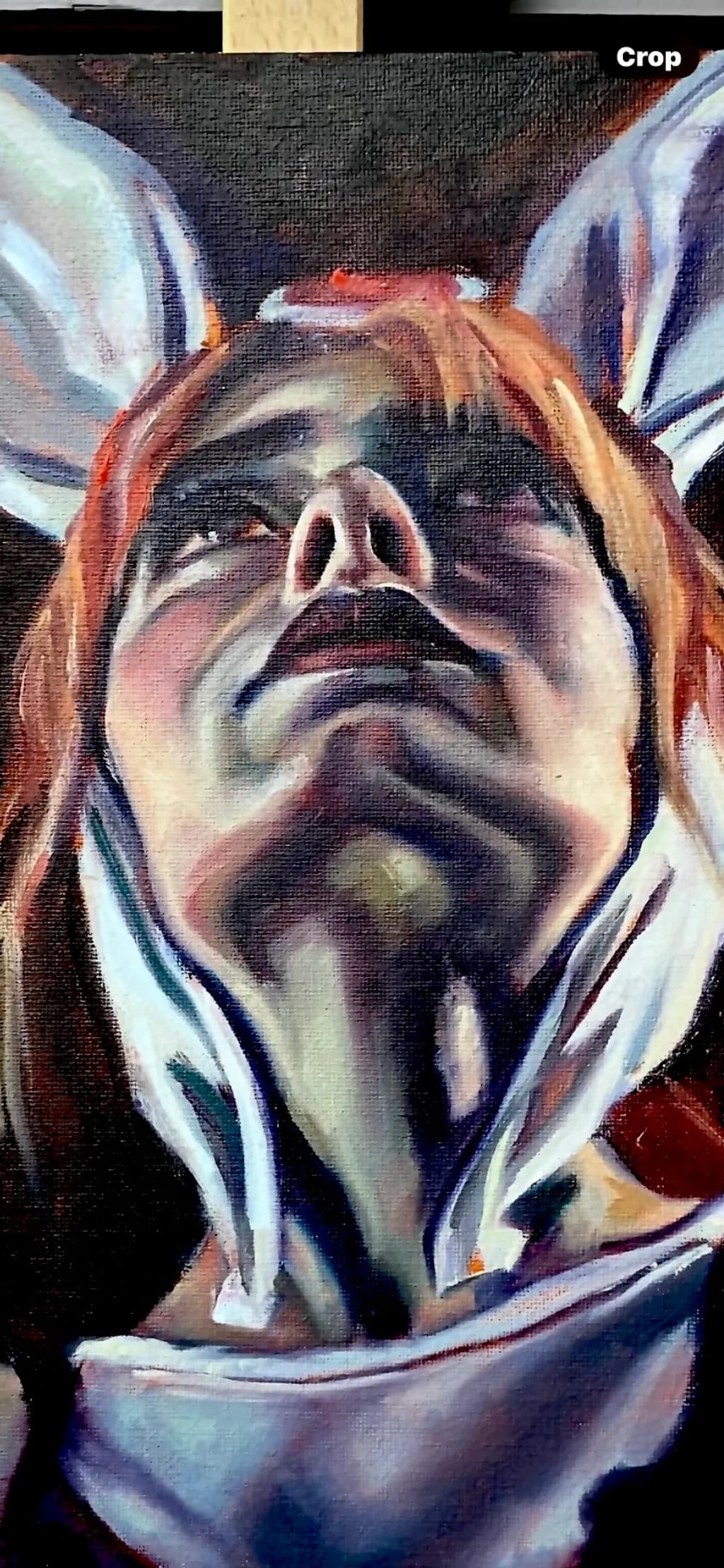 Bulldog in Hoodie