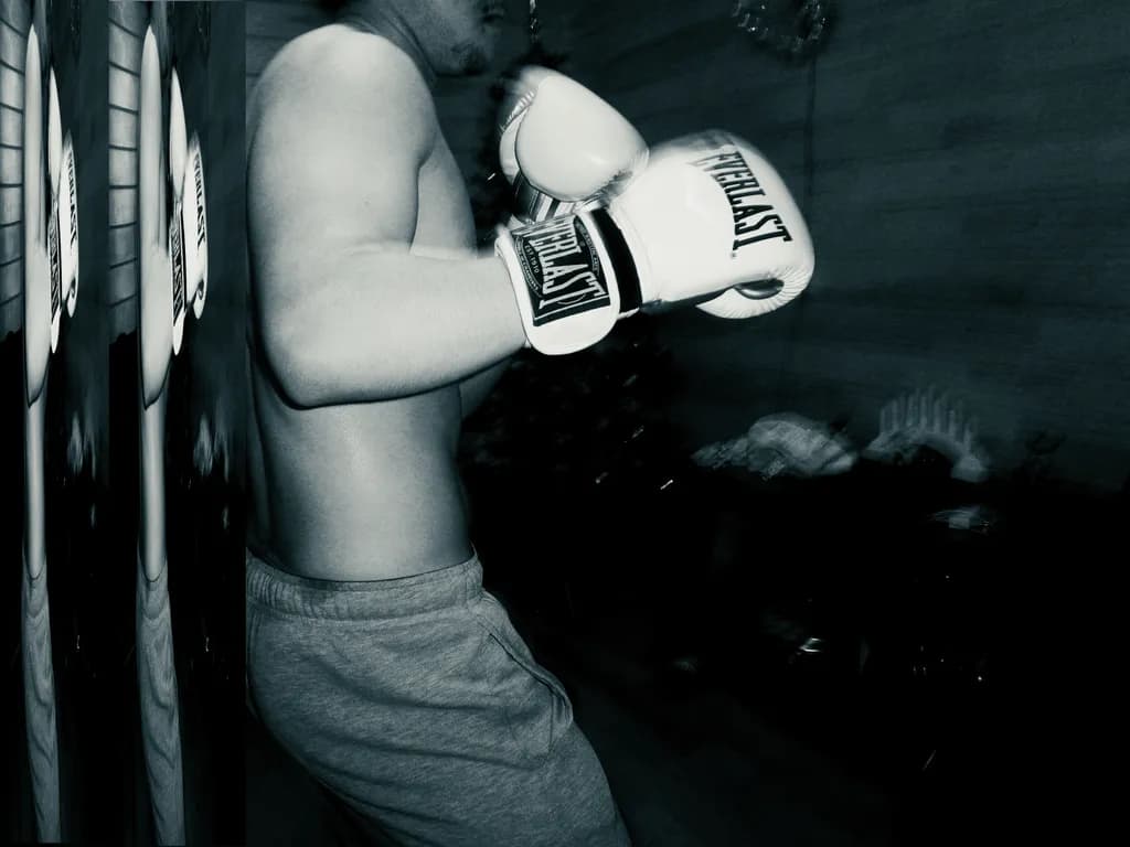 Boxer’s Guard