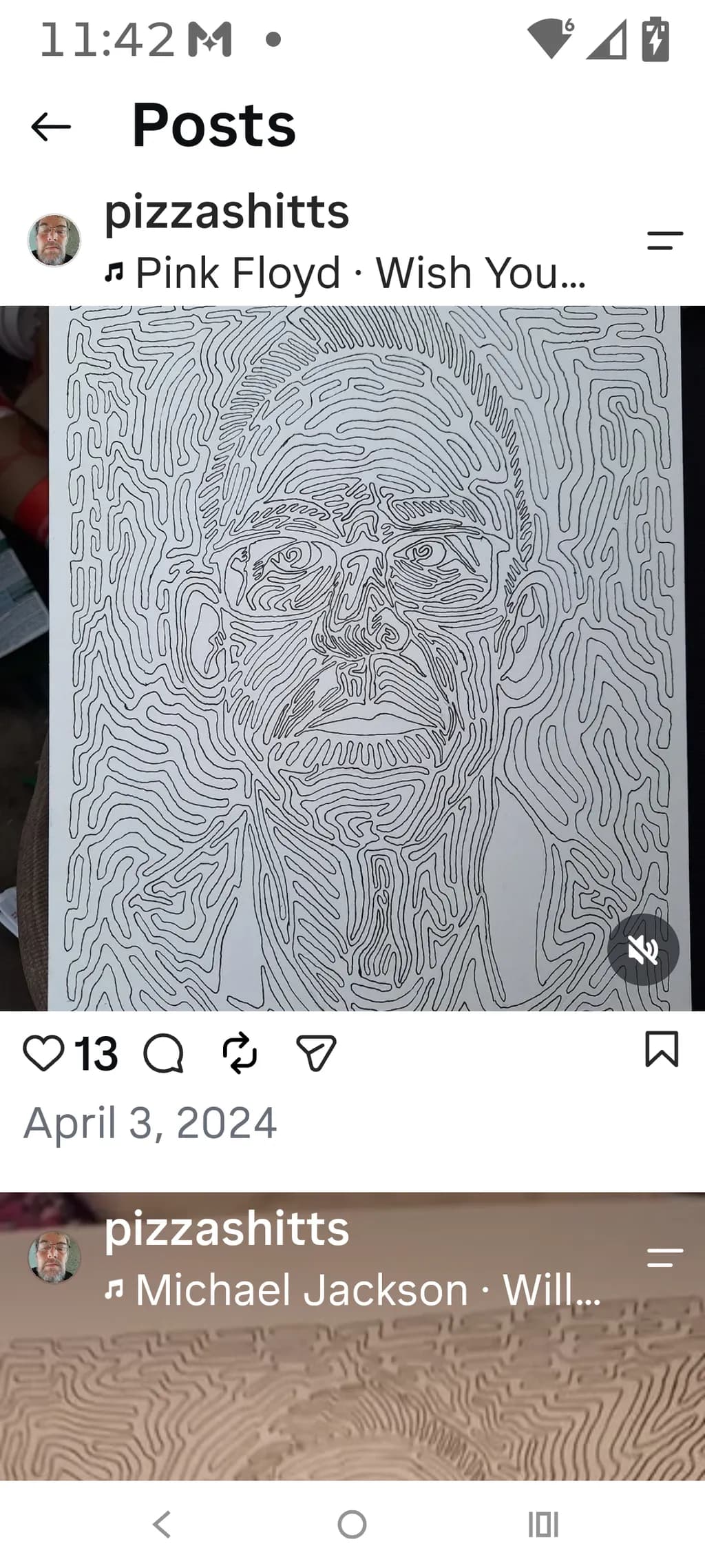 Contour Portrait