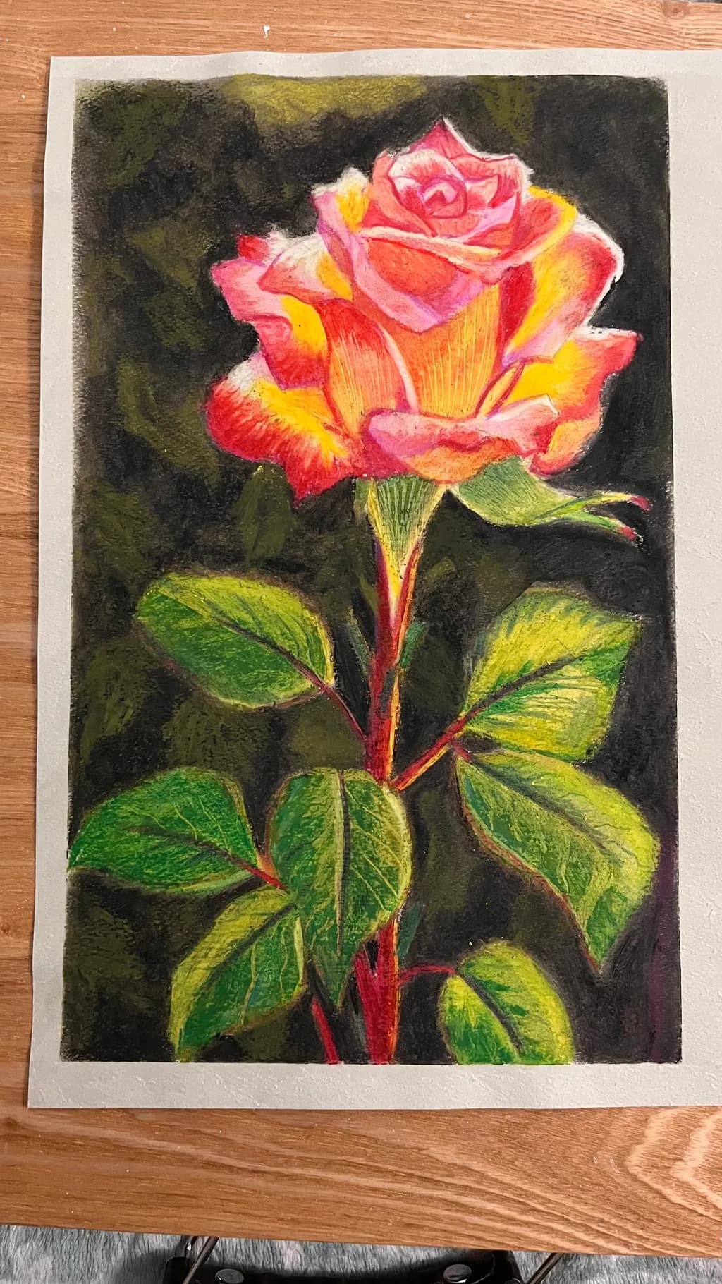 Crimson Rose in Bloom