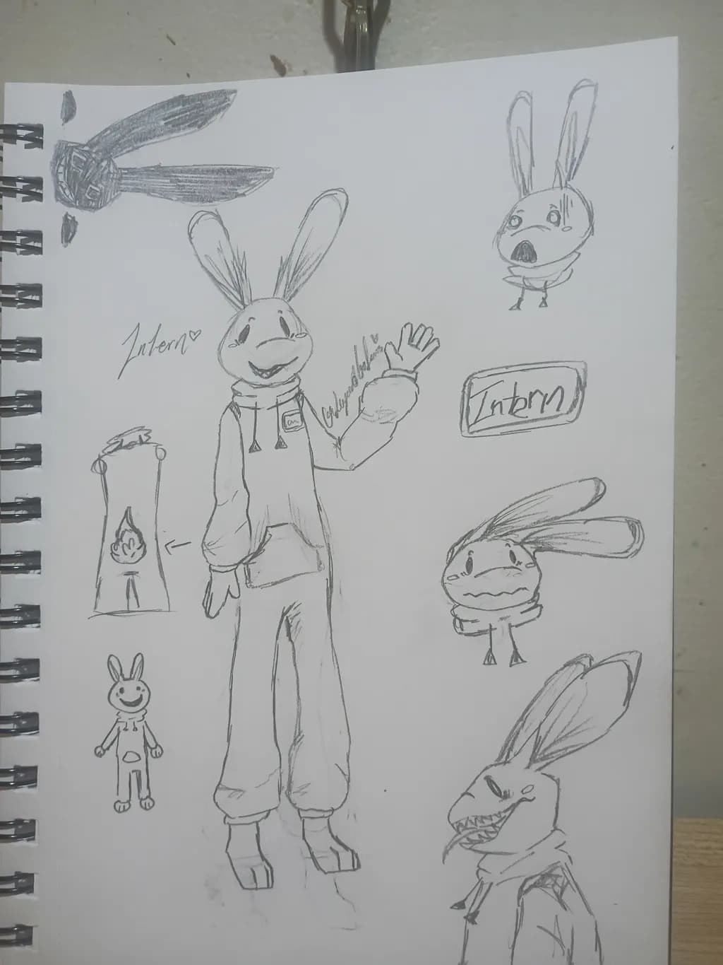 Bunny Character Sketches
