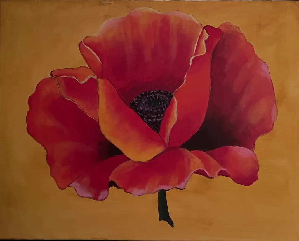 Crimson Poppy Bloom